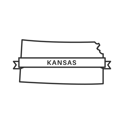 Get Kansas LLC Reinstated