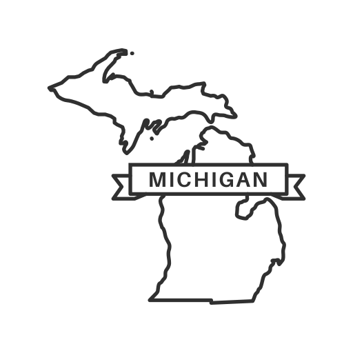 Get Michigan LLC Reinstated