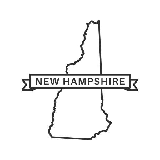 Get New Hampshire LLC Reinstated