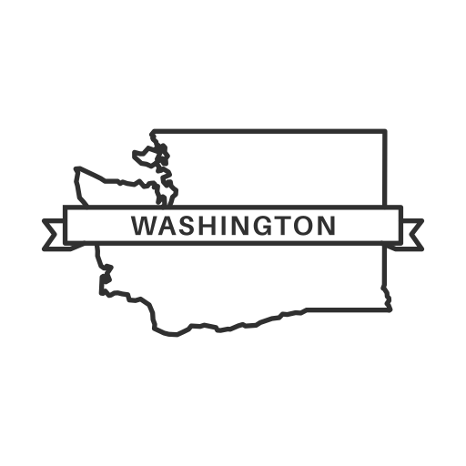Get Washington LLC Reinstated