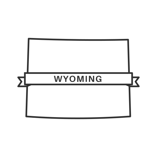 Get Wyoming LLC Reinstated